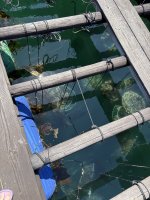 IMG_4688.jpeg