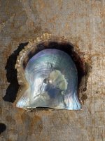 IMG_4711.jpeg