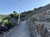 IMG_4721.jpeg