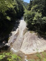 IMG_4779.jpeg