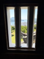 IMG_4789.jpeg
