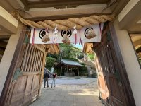 IMG_4797.jpeg