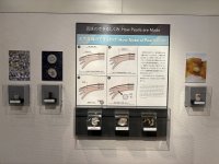 IMG_4858.jpeg