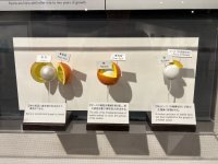 IMG_4857.jpeg