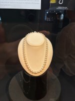 IMG_4908.jpeg