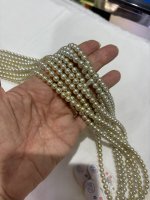 IMG_4940.jpeg