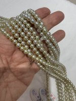 IMG_4939.jpeg