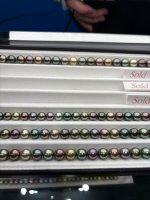 IMG_4947.jpeg