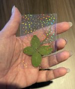 IMG_4950.jpeg