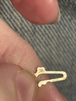 IMG_3955.jpeg