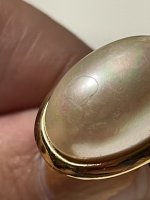 IMG_6169.jpeg