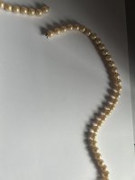 IMG_3294.jpeg