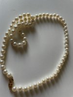 IMG_6239.jpeg