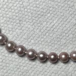 IMG_6505.jpeg
