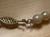 2_clasp and pearl.jpg