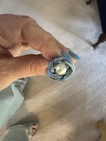 IMG_5078.jpeg