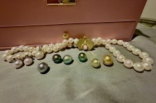 IMG_7627.jpeg