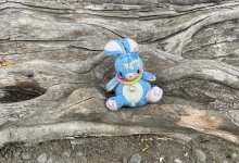 IMG_4054.jpeg
