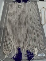 IMG_4098.jpeg