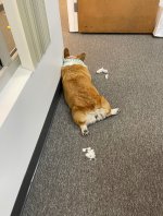 IMG_4140.jpeg