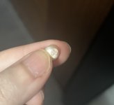 IMG_6670.jpeg