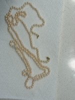 IMG_8993.jpg