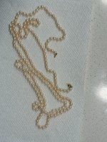 IMG_8994.jpg