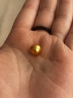 IMG_6847.jpeg