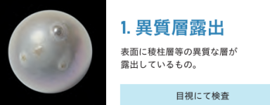 1000066339.png
