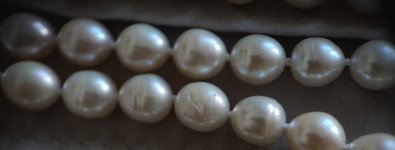 IMG20250813184502.jpg