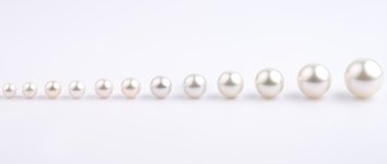 Pearl Addition 12 step program.jpg