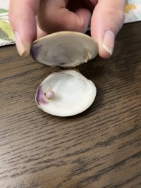 IMG_3948.jpeg