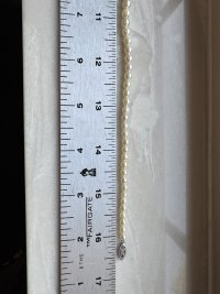 IMG_7535.JPG