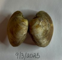 IMG_4030.jpeg