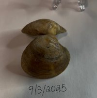 IMG_4029.jpeg