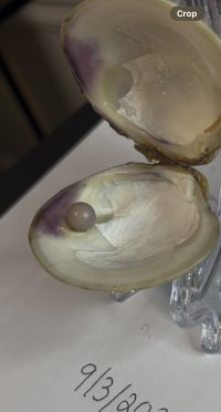 IMG_4027.jpeg