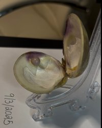 IMG_4026.jpeg