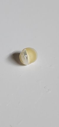 20250903_221214.jpg