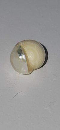 20250903_221333.jpg