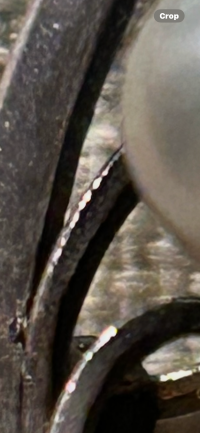 IMG_5966.png