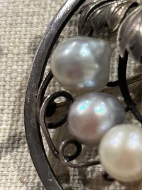 IMG_5965.jpeg