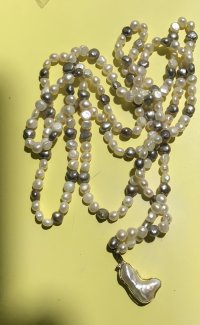 IMG_1598.jpeg