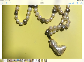 IMG_1600.png