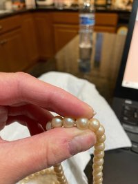 IMG_6135.jpeg
