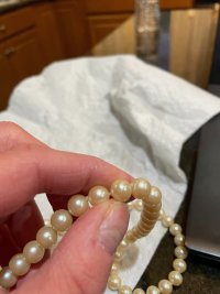 IMG_6136.jpeg