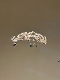 IMG_1456.jpeg