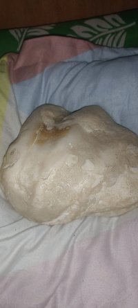 IMG20251008032706.jpg