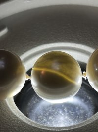 IMG_6790.jpeg