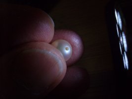 nacre thickness, 6.2-9.0mm akoyas.jpg