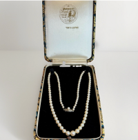 Screenshot 2025-11-03 at 1.17.43 PM.png